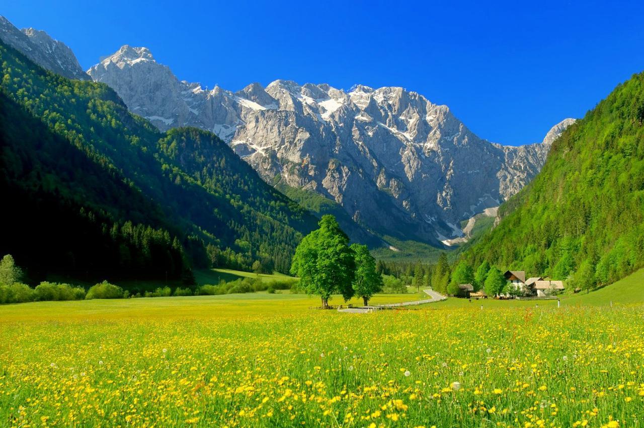 Hotel Planinka Ljubno Zewnętrze zdjęcie